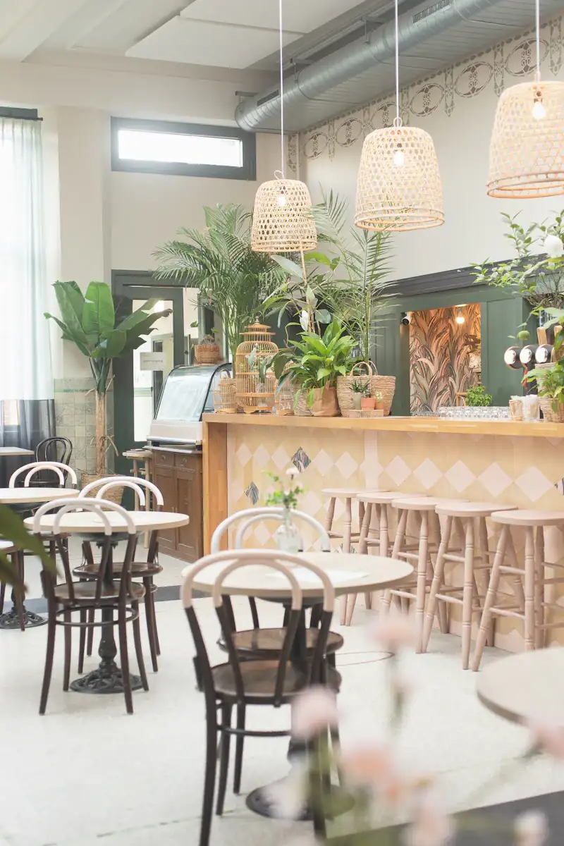 A bright café counter with woven rattan pendant lights, tall palms, bentwood chairs and a row of pale wooden bar stools.